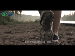 Shenzhen CKD Precision Mechanical & Electrical Co., Ltd. y sus subsidiarias